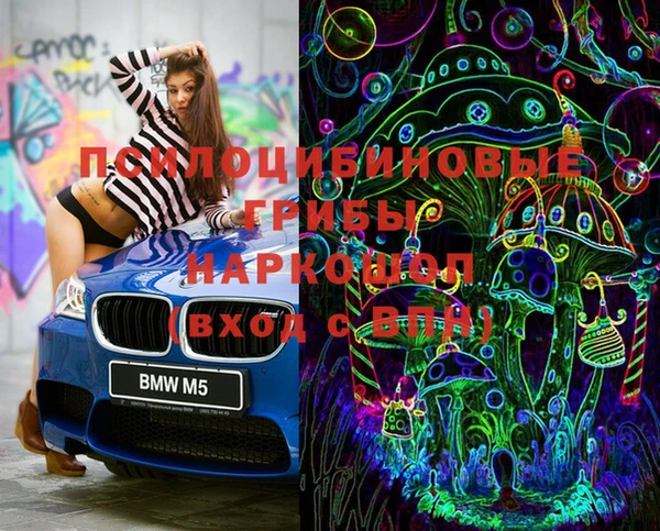 ешки Гусиноозёрск