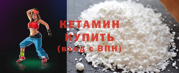 индика Бородино