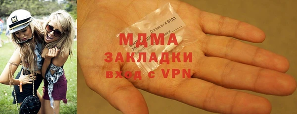 индика Бородино