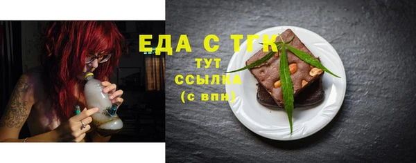 индика Бородино