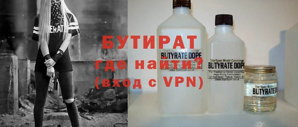 индика Бородино