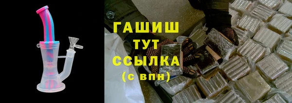 индика Бородино