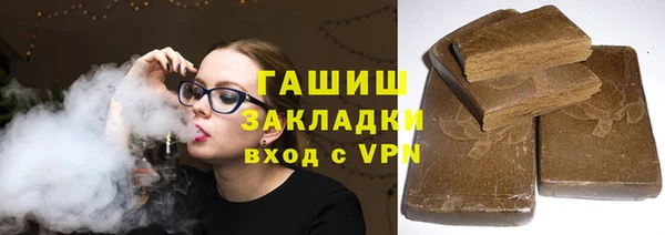 индика Бородино
