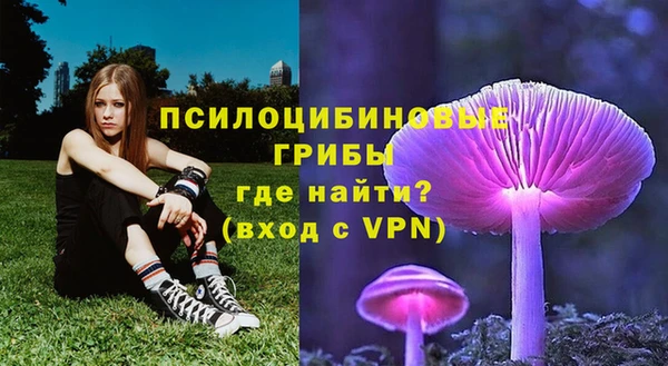 индика Бородино