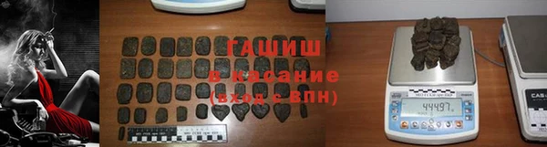 индика Бородино