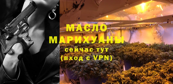 индика Бородино