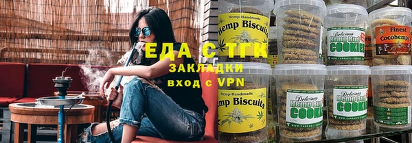 индика Бородино