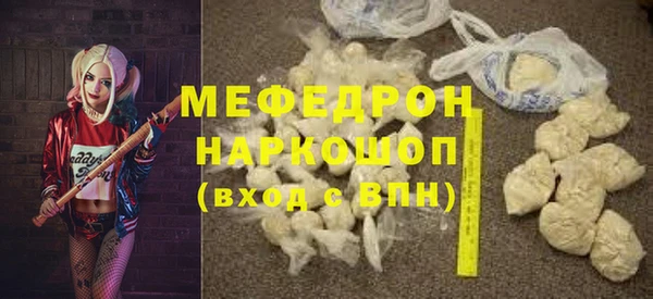 индика Бородино