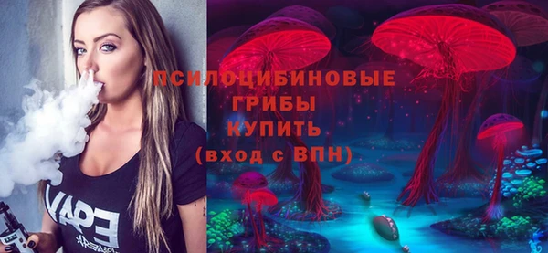 индика Бородино