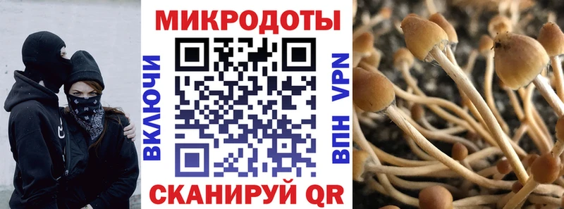 blacksprut как зайти  купить наркотики сайты  Новосокольники  Псилоцибиновые грибы мухоморы 